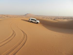 Dubai Desert 4x4 Dune Bashing, Self-Ride 20min ATV Quad, Camel Ride, Shows, Dinner